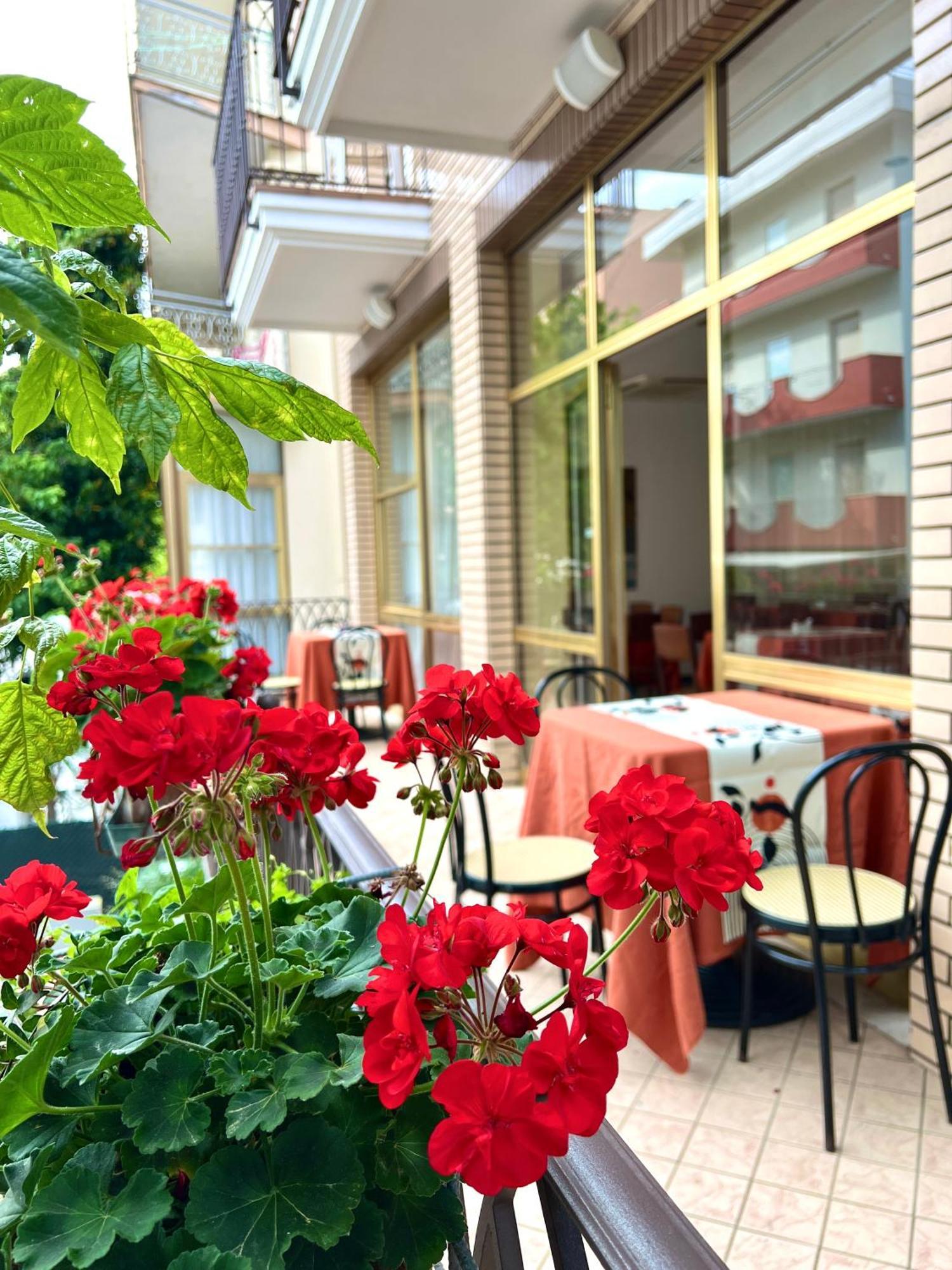 Hotel B&B Ardea Римини Экстерьер фото